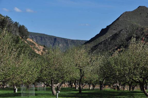 Bosque de macieiras no Slide Rock State Park, perto de Sedona, no Arizona, Estados Unidos